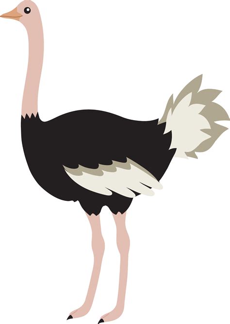 Ostrich clipart - In the wild, ostriches have demonstrated top running speeds of more than 40 mph, according to the National Wildlife Federation. The ostrich is the largest bird in the world and rel...